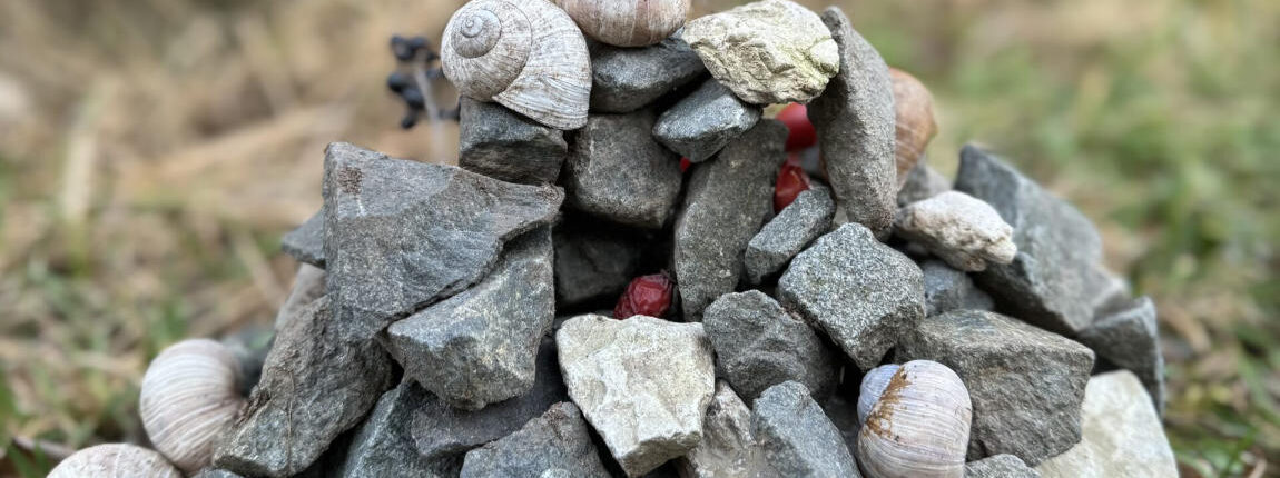 Stillleben am Wegesrand - Foto des Monats Februar