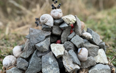 Stillleben am Wegesrand - Foto des Monats Februar