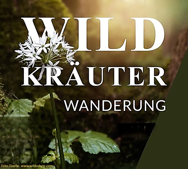 Ankündigung Wildkräuterwanderung