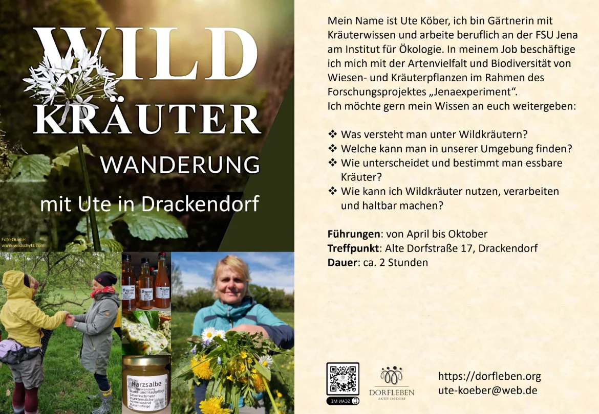Wildkräuterwanderungen in Drackendorf