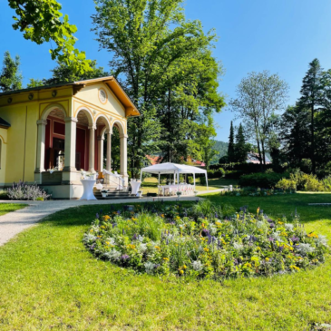 Frühstück in Weiß